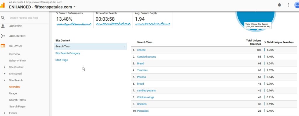 Google Analytics Search Overview